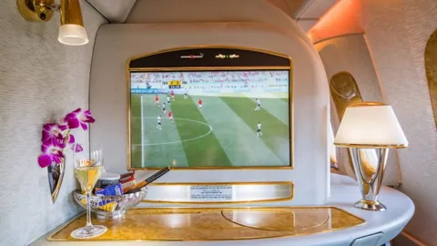 喜鹊海鸥杯赛点球战负，戈登红牌争议上诉待定