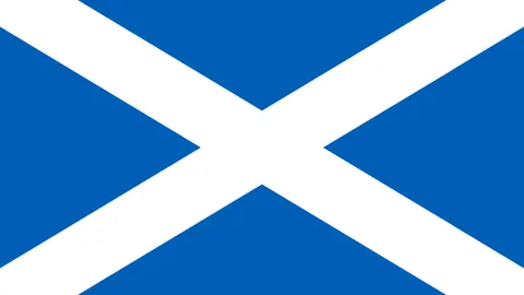 福建SBS潯興热烈欢迎路易斯金加盟大家庭